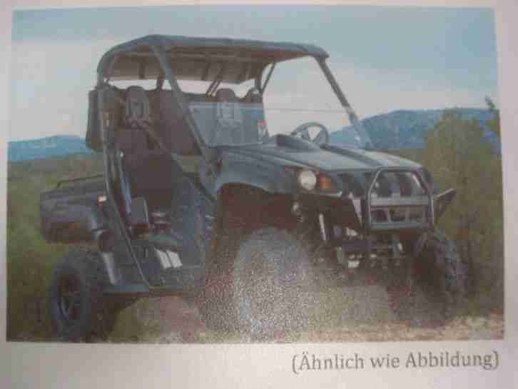 1 Quad Rhino, Yamaha YXR 700 FWAN / KW34 Bj. 06/11