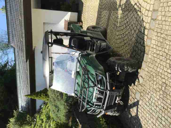 1 Quad Rhino, Yamaha YXR 700 FWAN / KW34 Bj. 06/11