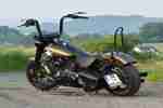 Harley Davidson® Slim S FLSS Softail