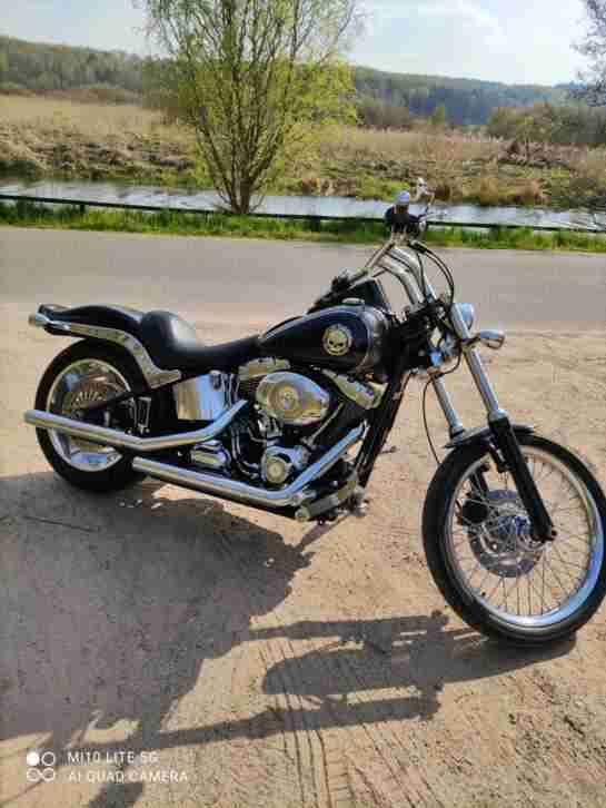harley davidson softail