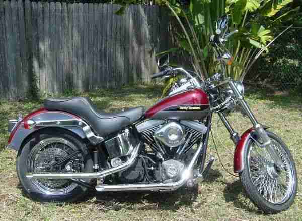 1986 Harley Davidson Softail super zustand