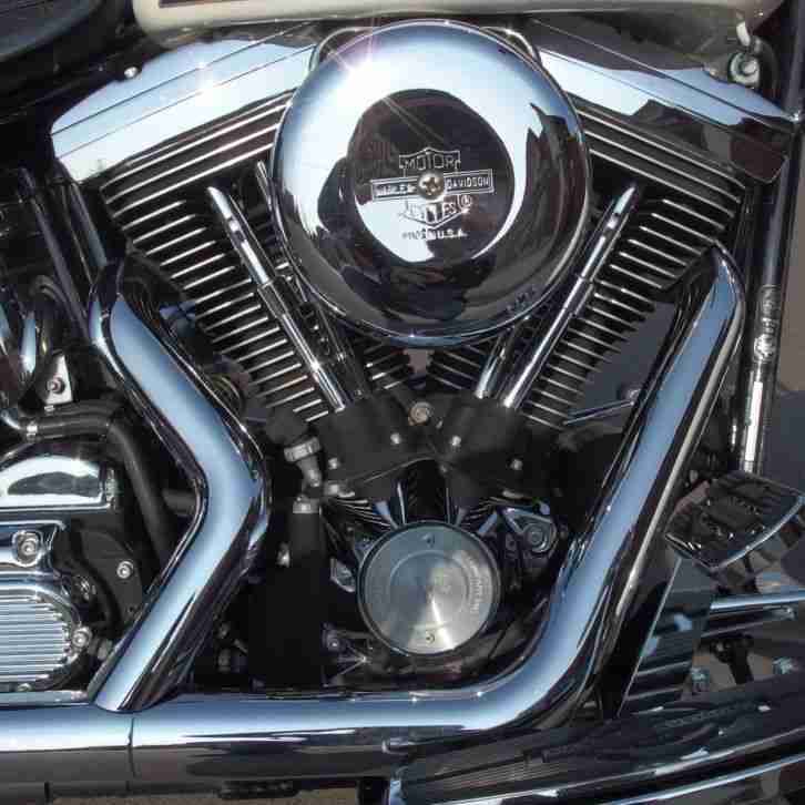 1997 Harley Davidson Springer FLSTS Softail Classic Evolution