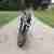 2006 BUELL XB12SS