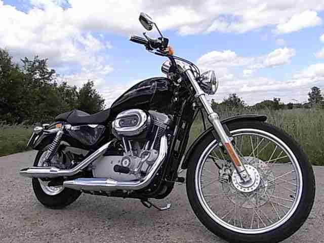 2007er Harley Davidson Sportster 883 Custom