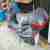 2x Honda Spacy