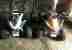 ZWEI Quads NITRO ATV Kinderquad Pocketquad Quad, 50ccm, 4 Gang, ZUM HERRICHTEN