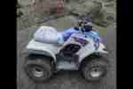 500€: Yamaha Quad Breeze 125 mit