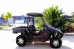 800cc Camo Grün UTV ATV Quad Buggy Dirt SIDE