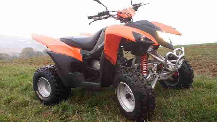 ADLY 300XS Quad ATV ***TÜV Neu***