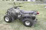 ATV 300 Adly Herkules Quad mit