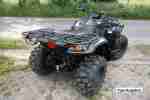 ATV Goes 520 4x4 mit Seilwinde und