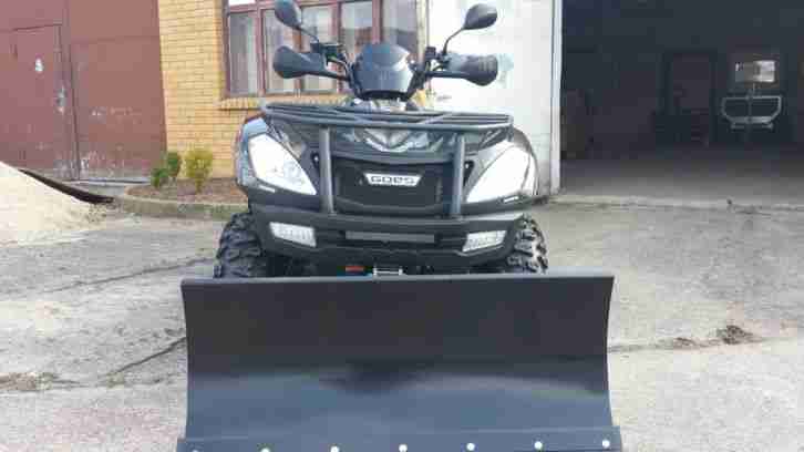 ATV Goes Iron 450 4x4 inkl. Seilwinde, AHK, Handprodektoren