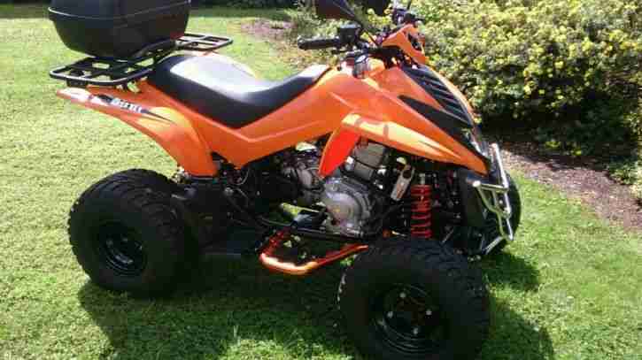  ATV Quad Dinli 801 - 300