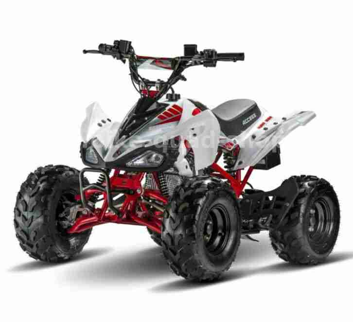 Access Motor Mini Sport 110 Kinder Quad Modell 2019