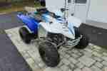 Adly Interceptor 50 XXL, Quad ATV, Top, 50ccm