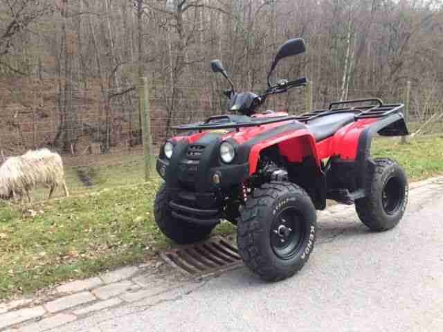 Adly Supercross 50 XXL Quad wie neu!