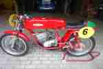 Aermacchi Aletta 125 ccm Rennmaschine