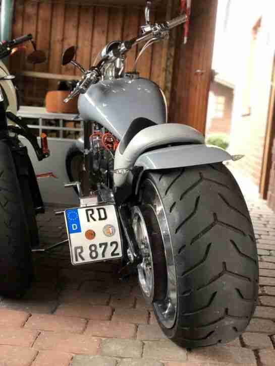 American Ironhorse–Tejas