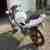 Aprilia RS 125