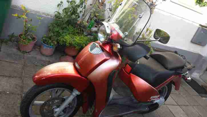 Aprilia Scarabeo 125 Leo Vince Auspuff Bitubo Stoßd. Gelbatterie, Öl + TÜV NEU!