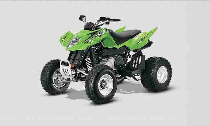 Arctic Cat 300DVX - NEUFAHRZEUG Finanzierung möglich ab 50€/Monat!!!