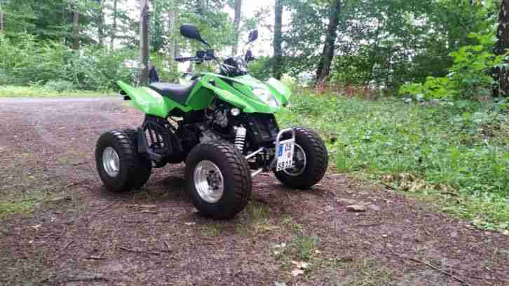 Arctic Cat DSV 300
