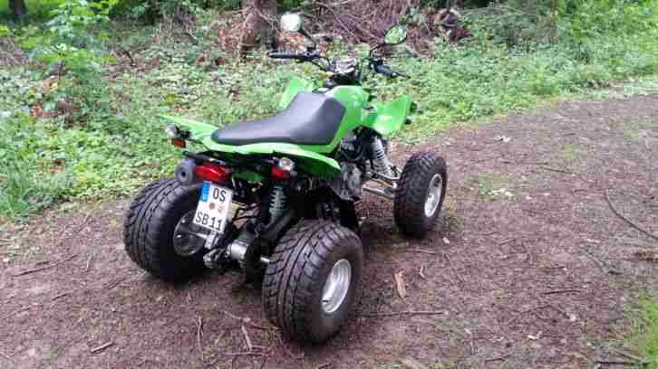 Arctic Cat DSV 300