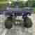 Automatik Quad der
