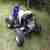 BASHAN 300ccm Strassenquad