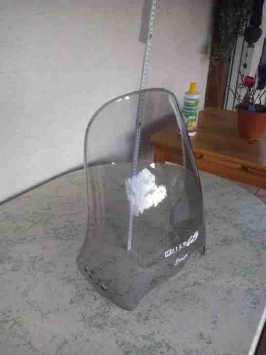 BMW 1150 GS Windschild