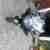 BMW K 1200