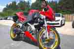 BUELL 2006 XB12R Firebolt XB12 Harley motor