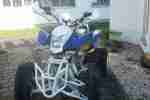 Bashan 250 (ATV250S 11B)