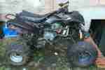 Bashan BS200S 7 Unfall Quad ca 800km EZ