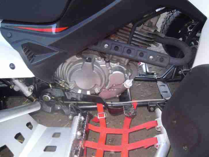 Beeline Bestia 3.3 Quad ATV