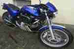 Buell M2 2001` Blue White Racing Stripe nur