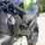 Buell XB 12