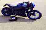 Buell XB 12 Scg EZ 11 2009 1. Hand UNIKAT