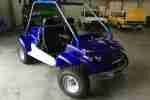 Buggy M Kart 170 fast neu erst 33 KM