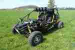 Buggy Ness 1300