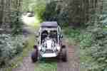 Buggy PGO 250er Bugrider