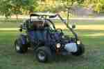 Buggy PGO Bugxter BR 150