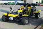 Buggy Saiting 650