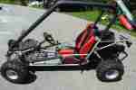 Buggy mit Straßenzulassung Go Kart