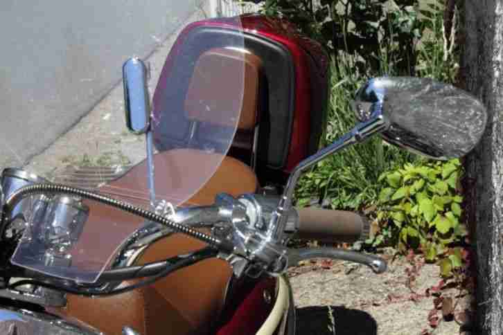 Burnout Retroroller mit Speziallackierung 45km/h Viertakter Variomatik Haube REX