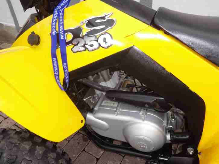 CAN AM Quad BOMBADIER TOP erst 2650 Km ATV DS 250