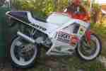 Cagiva Mito 125 mit seltene 7 Gang Getriebe