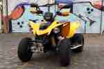 Can Am DS 250 Gepflegtes Quad