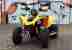 Can Am DS 250 Gepflegtes Quad