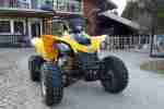 Can Am DS250 Erstzul.2014 450km